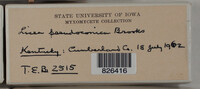 Image Associated With the Occurence